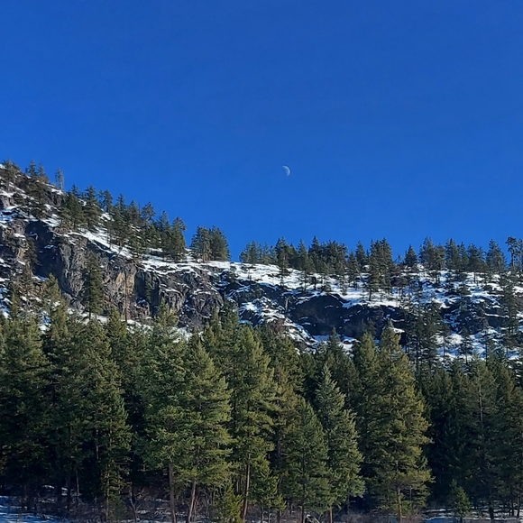 Meet your Posher, TL - Picture 5 of 14